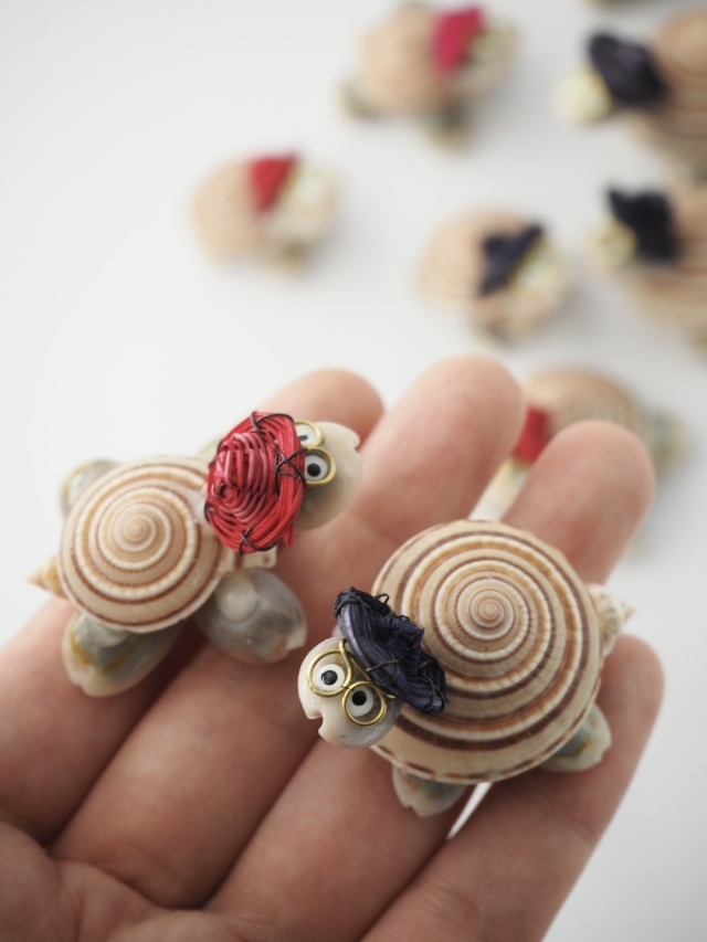 亀は万年(クロスジグルマ)【約4～5cm/10個入】 En: Shell Turtle