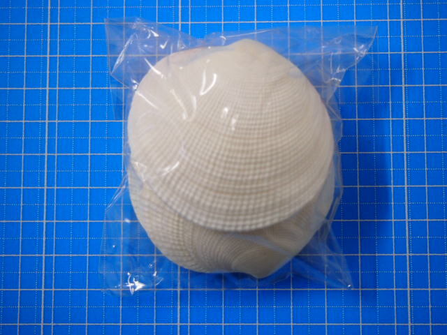 ツキガイ片面-小-【約5～6cm/5枚入】[メール便可-4袋まで] En