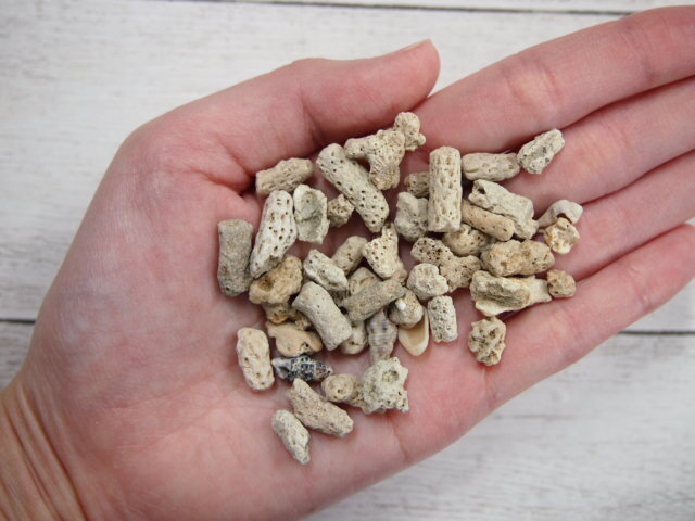 サンゴ砂【10mm】[メール便対象-880gまで] - Not for overseas sale -