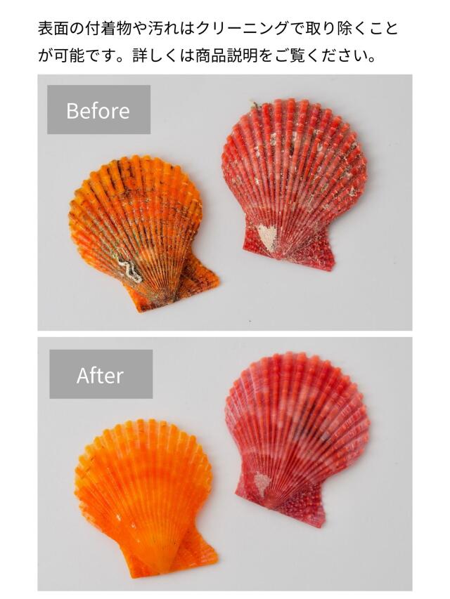 貝合わせ 貝おおい ミニ 貝合わせ 貝おおい ミニ