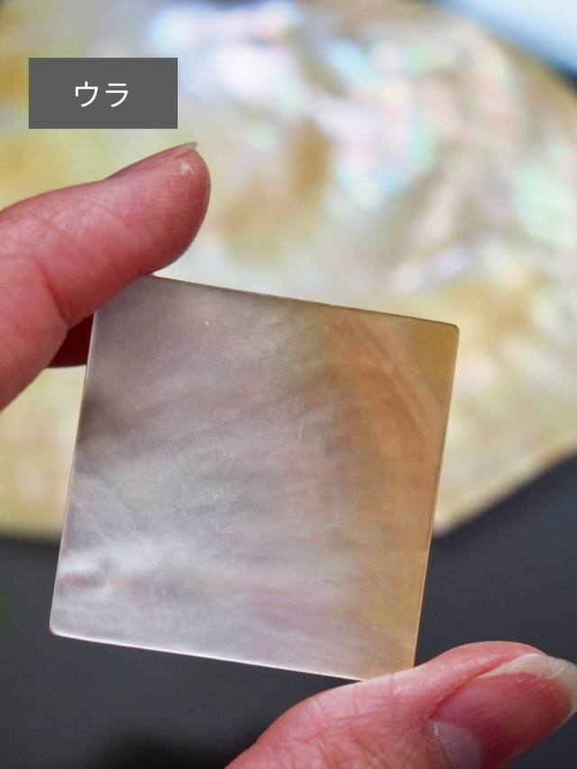 真珠貝プレート - シロチョウガイ(正方形)【約3.5cm×3.5cm/1枚