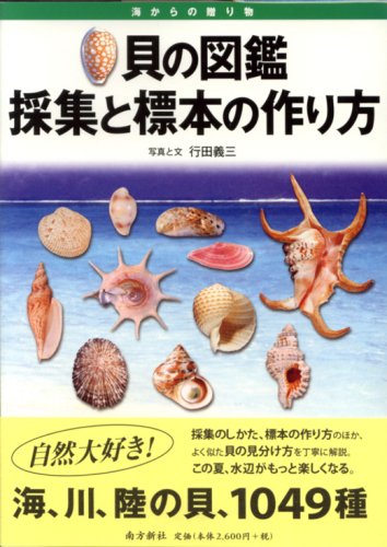 訳あり 図鑑】貝の図鑑 採集と標本の作り方 洋書