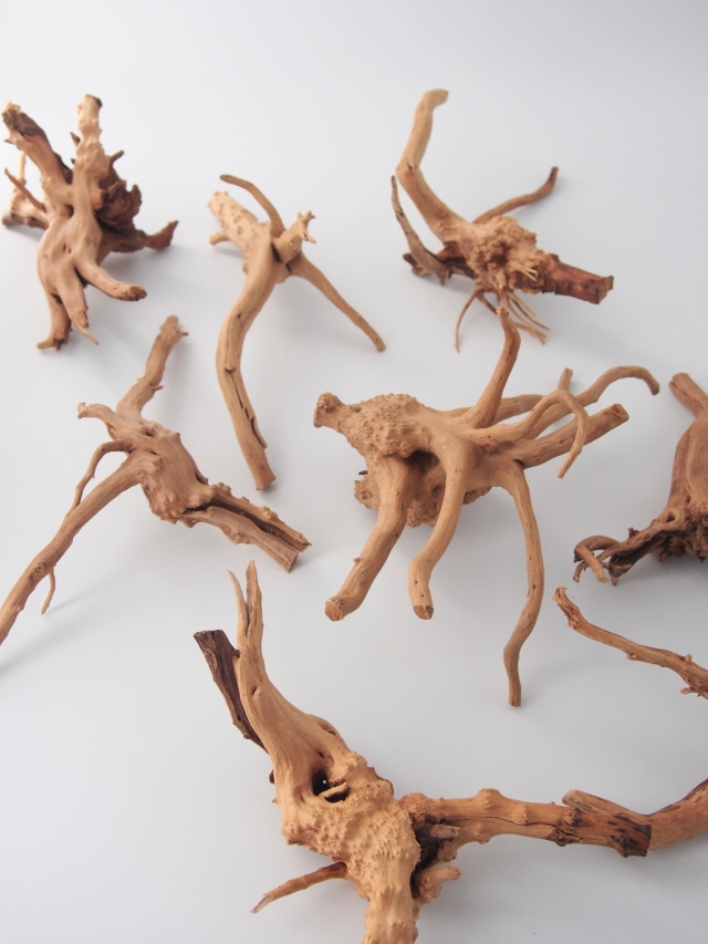 天然流木 ブランチ系 【約10cm/1個】 