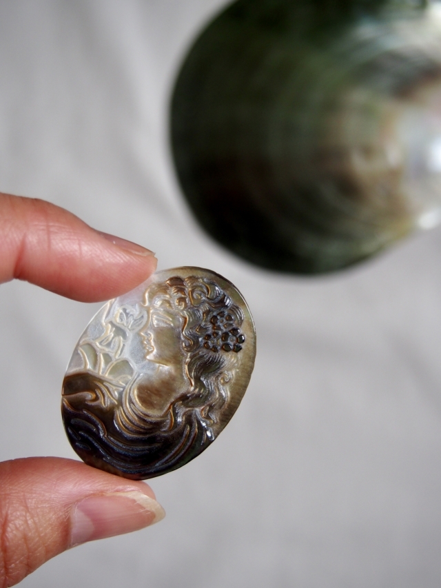 【絶版・希少本】柏書店松原 SHELL CAMEO シェル・カメオ カメオ - 白馬 (シロチョウガイ)【約33×30mm/1個】[メール便可