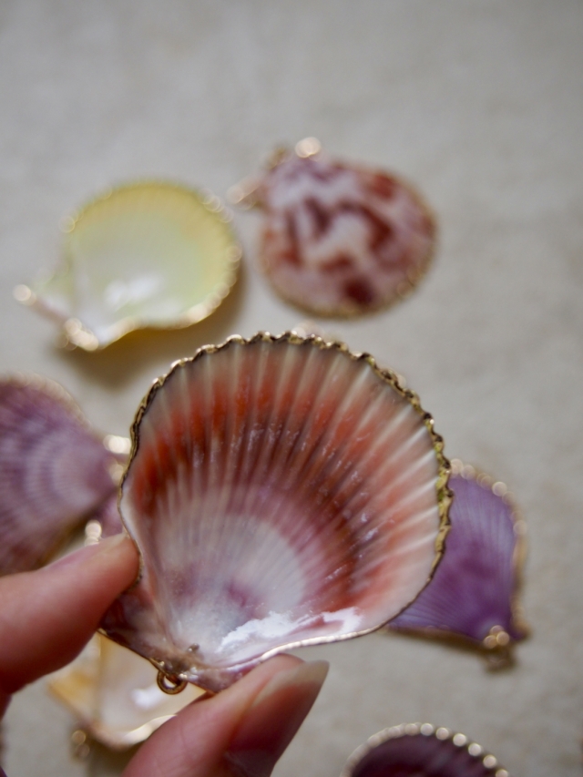 シェルチャーム - ヒオウギガイ オレンジ（ゴールドエッジ）【約4.0