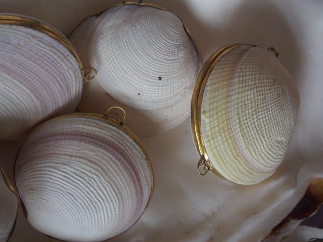 B品]貝殻の小物入れ-ツキガイ-【7.5cm前後/1個】 En: Shell coin purse