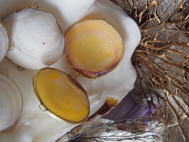 B品]貝殻の小物入れ-ツキガイ-【7.5cm前後/1個】 En: Shell coin purse