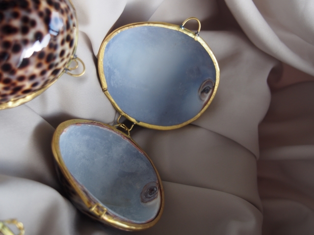 貝殻の小物入れ-シプレアタイガー-(ホシダカラ)【5cm前後/1個