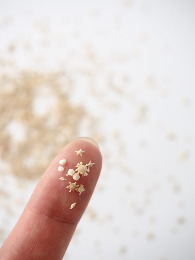 天然星の砂(無漂白)【約1～3mm】[メール便可 100g×6袋まで] En: Star