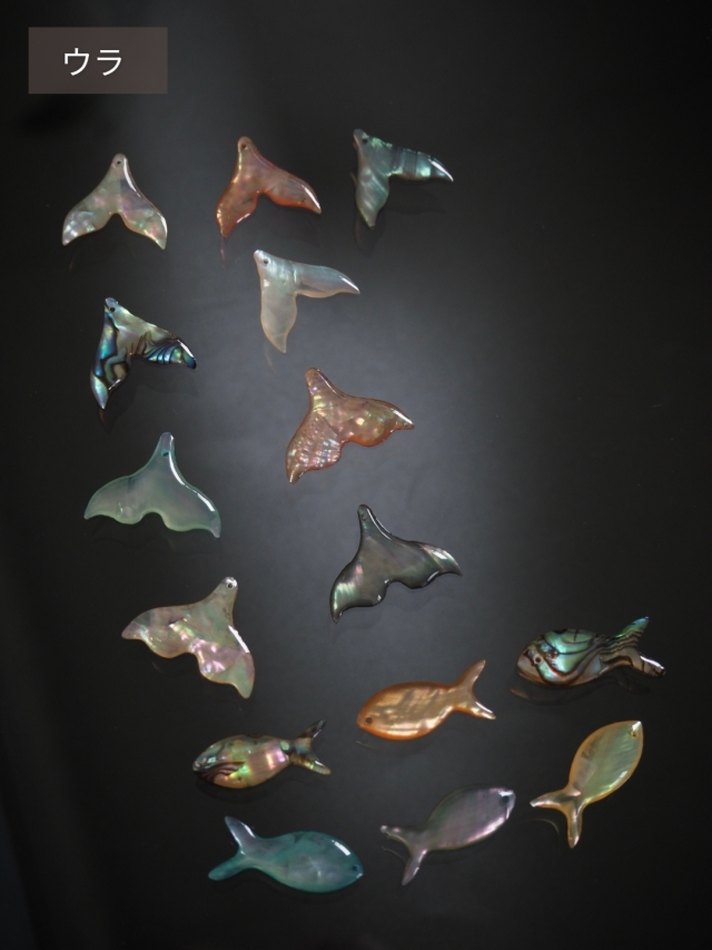 シェルビーズ - ホエールテール モスグリーン(シロチョウガイ)【約20