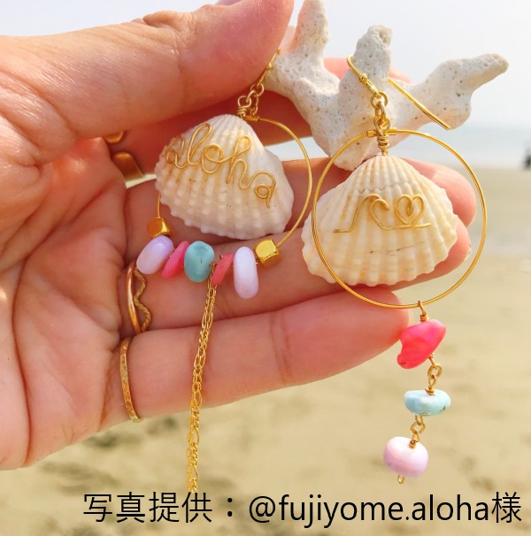 ハイガイ【約2.5～3.5cm】[メール便可-400gまで] En:Tegillaca