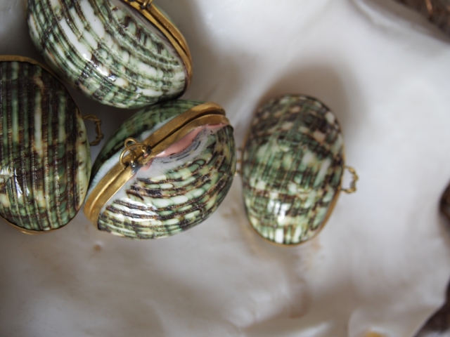 B品]貝殻の小物入れ-ターボブロゴスグリーン磨き-【5cm前後/1個