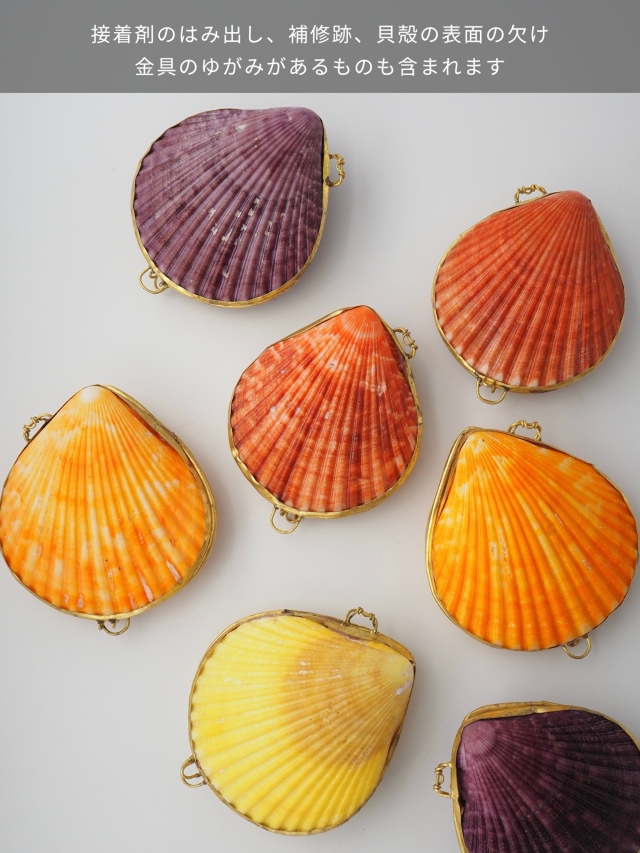 貝殻の小物入れ-ヒオウギガイオレンジ-【6cm前後/1個】 En: Shell coin  