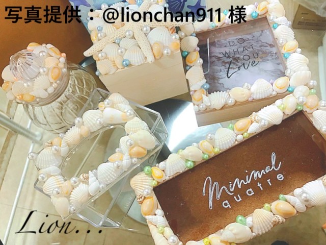 アヌルスクックド【2cm前後】[メール便可-400gまで] En: Cypraea