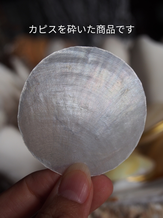 クラッシュシェル -カピス‐ 50g入り [メール便可6袋まで] En: Crashed