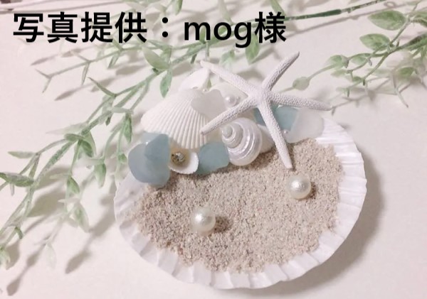 シルバーマウス真珠磨き【約2～3cm/5個】[メール便可-16袋まで