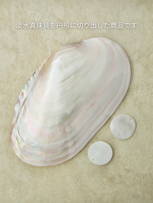 シェルプレートビーズ-ラウンドカット-9-（淡水真珠貝）【約3.5cm/1枚