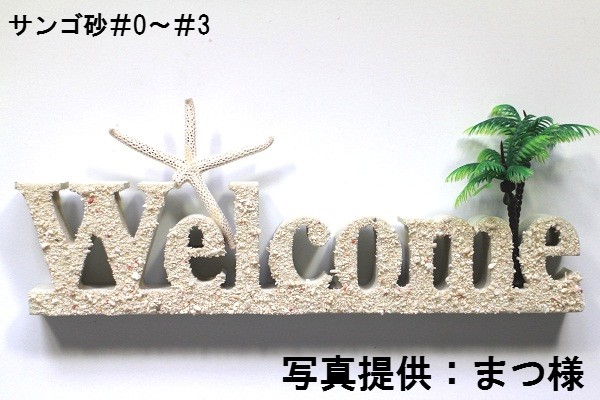 サンゴ砂【パウダー】[メール便対象-880gまで] - Not for