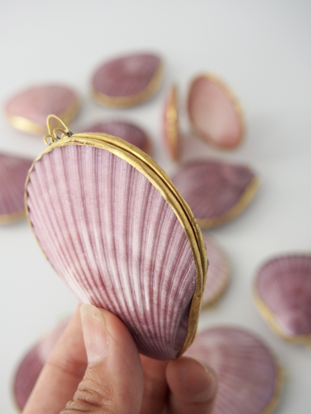 レア品　チリメンアオイガイ　貝殻　置物 激レア 訳あり チリメンアオイガイ - メルカリ