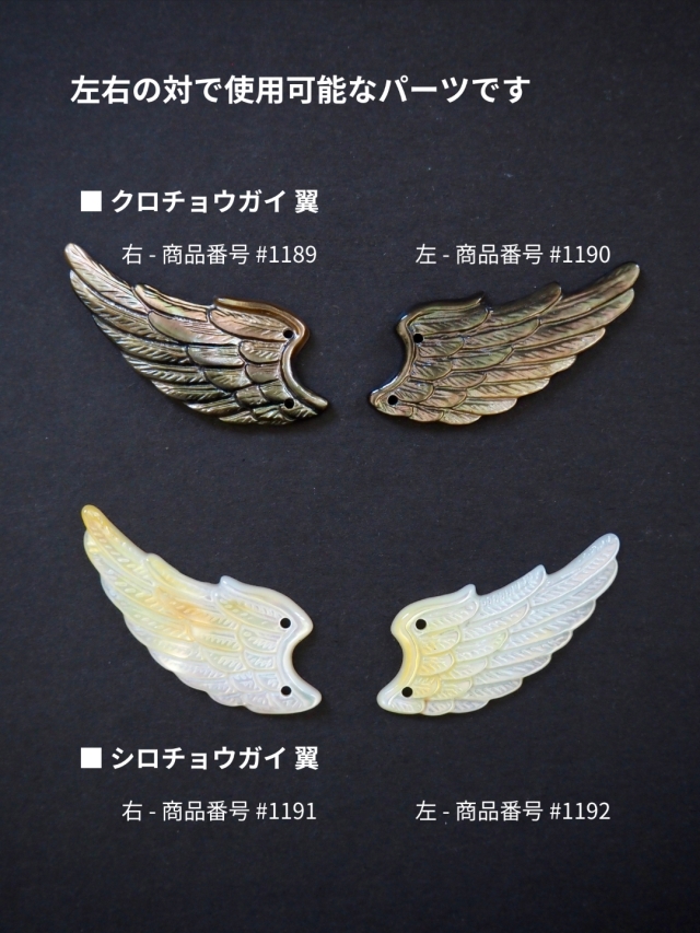 シェルビーズ - 翼[右](シロチョウガイ)【約14×35mm/1個
