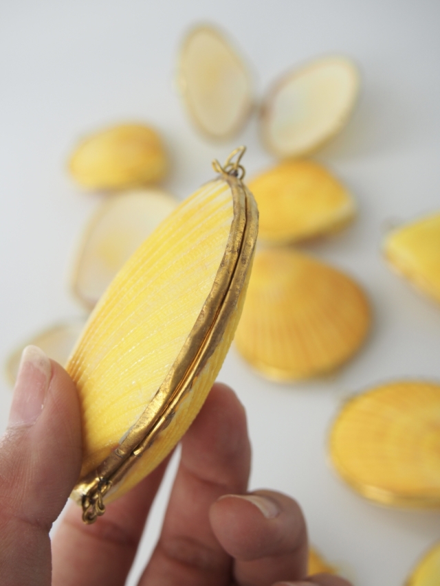 貝殻の小物入れ-ヒオウギガイ黄系-【6cm前後/1個】 En: Shell coin