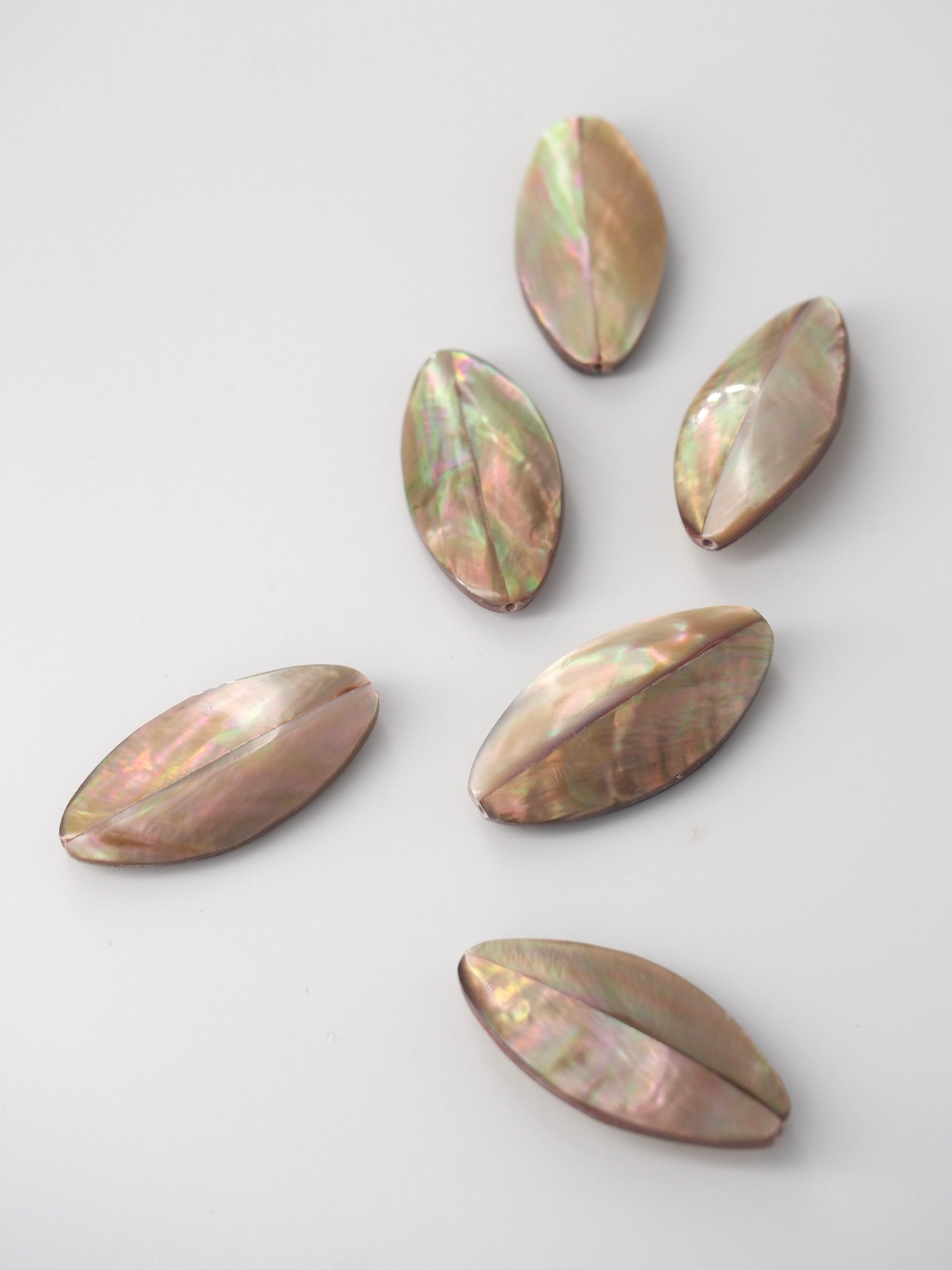 マベ オーバル 小【約3cm】[メール便可] En: Shell accessory (size:3cm) 貝殻