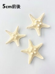 コブヒトデ【5ｃｍ前後】[メール便可-20個まで]  En: Philippine starfish (size: approx. 5cm) 貝殻