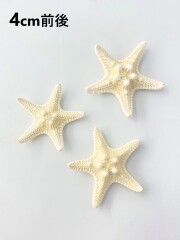 コブヒトデ【4cm前後】[メール便可-50個まで]  En: Philippine starfish (size: approx. 4cm) 貝殻