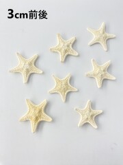 コブヒトデ【3cm前後/10個入り】[メール便可] En: Philippine starfish, size: approx. 3cm, per:10pcs 貝殻