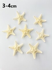 コブヒトデ【約3～4cm/10個入り】[メール便可-15袋まで] En: Philippine starfish, size: approx. 3-4cm, per:10pcs 貝殻