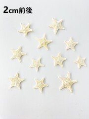 コブヒトデ【2cm前後/10個入り】[メール便可] En: Philippine starfish, size: approx. 2cm, per:10pcs 貝殻