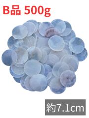 貝殻　サンゴ Amazon.co.jp: 天然ヒトデ.サンドダラー白いサンゴMIX貝殻