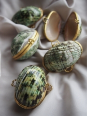 貝殻の小物入れ-ターボブロゴスグリーン磨き-【5cm前後/1個】 En:  Shell coin purse -Turbo Burgess polished-green-- (size:approx.5cm, per 1pcs)