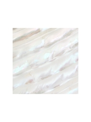 貝殻シート#35 ターバンシェル【4×4cm 厚さ0.18-0.2mm 】[メール便可] En: Shell veneer -turbo shell 貝殻
