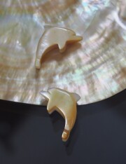 イルカ-54-(シロチョウガイ）【約2.2～2.5cm/1個】[メール便可]まとめ買い10%OFF En:Shell accesorry -dolphine- WMOP 貝殻