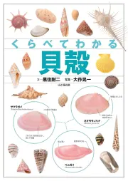【図鑑】くらべてわかる貝殻