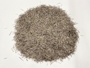 ウニのトゲ(Small)【0.5ｃｍ前後/約30ｇ】[メール便可-6袋まで]  En:Spines of urchin (size:0.5cm, per 30g) 貝殻