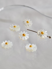 シェルビーズ-マーガレット イエロー 穴有(タカセガイ)【約8mm/1個】[メール便可] #1045 En:Trocus - Shell Beads 貝殻