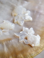 シェルビーズ-金魚 大 穴有(シロチョウガイ)【約20×30mm/1個】まとめ買い10%OFF [メール便可]#1206 貝殻