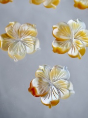 シェルビーズ -ハイビスカス イエロー(シロチョウガイ)【約20mm/1個】[メール便可]まとめ買い10%OFF #1001 En:Shell Beads -White MOP 貝殻