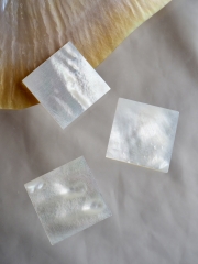 真珠貝プレート - シロチョウガイ(正方形:ミャンマー産)【約2.5×2.5cm/1枚】[メール便可] En: Shell Round Cut, white MOP 貝殻