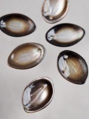 シェルビーズ-花びら(クロチョウガイ)【約10×14mm/1個】[メール便可]まとめ買い10%OFF #1151 En:Shell Beads -Black MOP 貝殻
