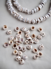 プカシェルタイガー#39(イモガイ)【約0.5～0.7cm/1本約40cm】[メール便可-10袋まで]  En: Shell Beads,puka shell tiger 貝殻