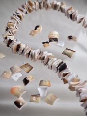 エクゾチカローズ#30【約0.5～1.0cm/1本約40cm】[メール便可-5袋まで]  En:Shell Beads -rose shell- 貝殻