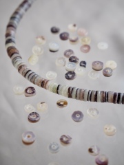 ハンマーシェル#32【約0.5cm/1本約60cm】[メール便可-5袋まで] En: Shell accessory,hammer shell 貝殻