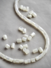 タカセガイ#49【3×2～5mm/1本約40cm】[メール便可-20袋まで] En:Shell Beads torocus 貝殻