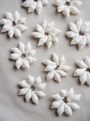 ナサシェルホワイトリング（約2.5±0.5cm/10個入)[メール便可-10袋まで]En:Shell Ring- Nassa shell white 貝殻