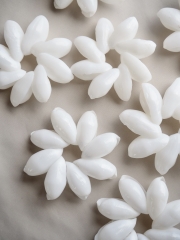 バブルスリング（5cm前後)En:Shell ring  bubbles 貝殻