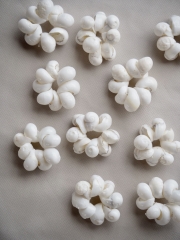 モンゴスホワイトリング(約1.5～2cm)En:Shell Ring,mongos white 貝殻