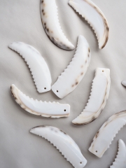 カットシプレアタイガー(ホシダカラ)【約5～6cm】[メール便可] En: Shell Cut, Tiger cowrie 貝殻